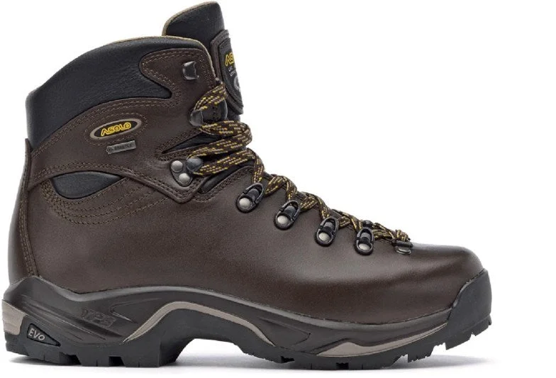 Outdoor Shoes for spring-Asolo TPS 520 EVO GV GTX - Women's