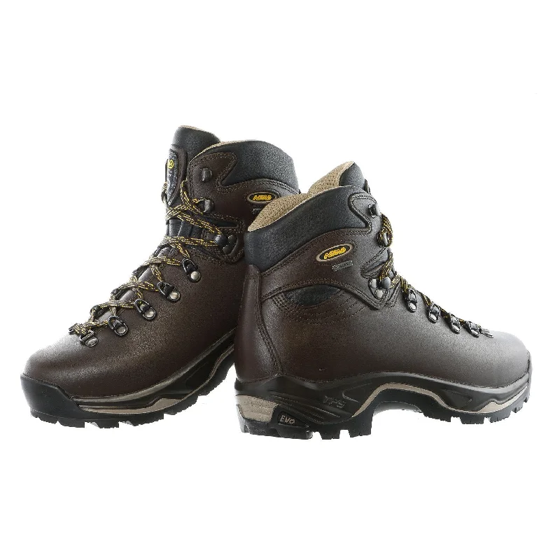 Outdoor Shoes for cold weather-Asolo TPS 520 EVO GV GTX - Men's