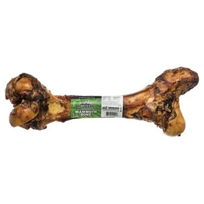 Mammoth Beef Bone Chew for Dogs