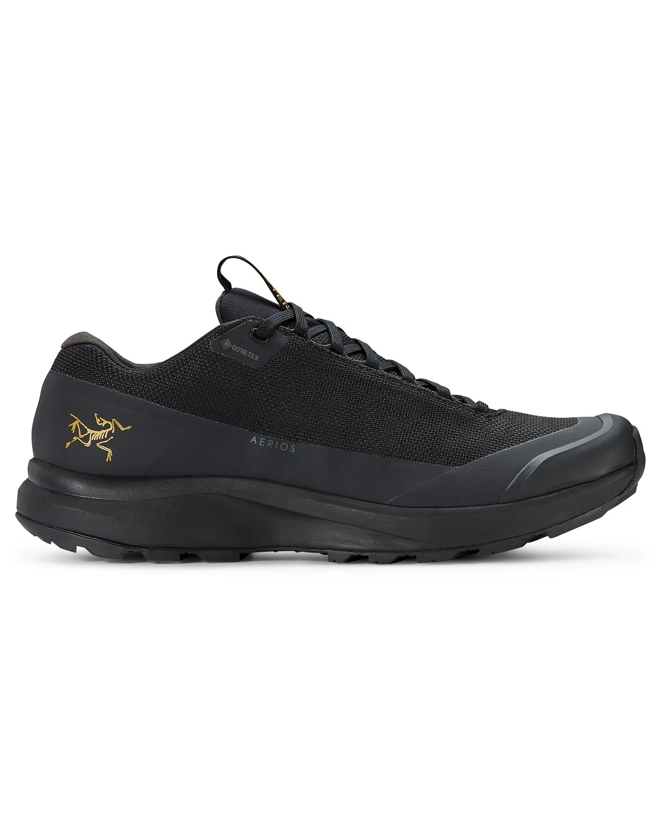 Outdoor Shoes for beach trips-ARC'TERYX Men's Aerios FL 2 Gore-tex® Shoe