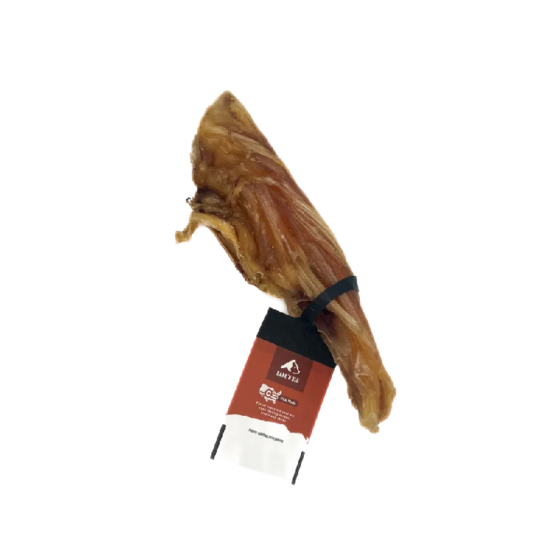 Bison Fillet Tendon 6in - Single